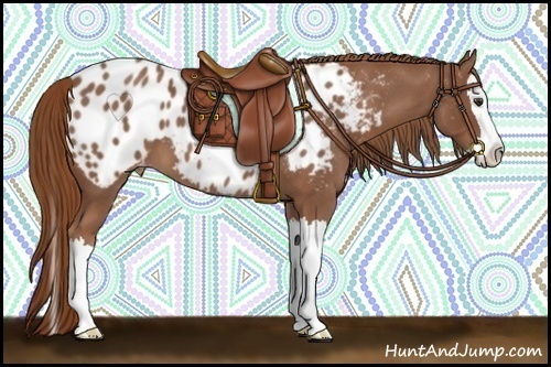 Horse Color:Red Roan Splash Appaloosa 