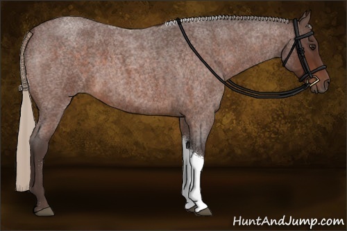 Horse Color:Silver Brown Roan Tobiano Rabicano