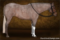 Horse Color:Silver Brown Roan Tobiano Rabicano 