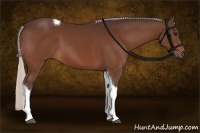 Horse Color:Silver Bay Sabino Tobiano