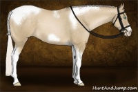 Horse Color:Silver Buckskin Pearl Tobiano Frame 