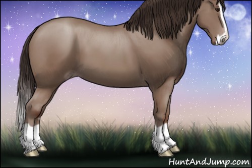 Horse Color:Classic Champagne Splash