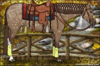 Horse Color:Liver Red Dun Ice 