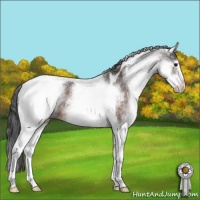 Horse Color:White Spotted Brown Tobiano 