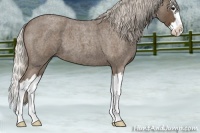 Horse Color:Silver Blue Roan Splash