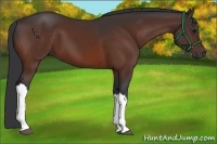 Horse Color:Brown 