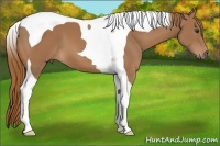 Horse Color:Chestnut Tobiano 