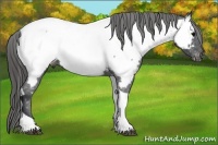 Horse Color:Black Tobiano Near Fewspot 
