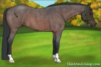 Horse Color:Brown Roan