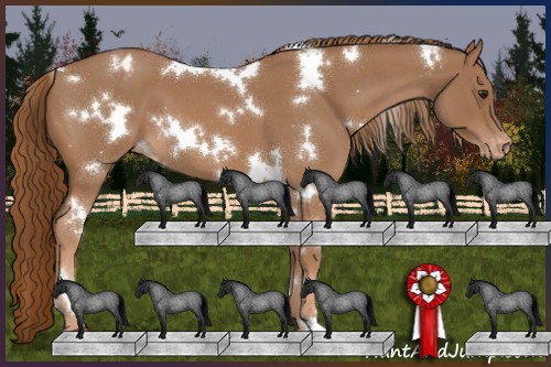 Horse Color:White Spotted Red Roan Varnish