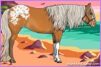 Horse Color:Silver Bay Appaloosa 