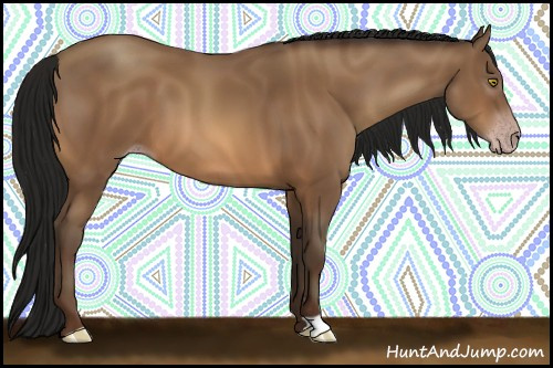 Horse Color:Gray Amber Champagne 