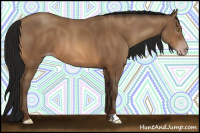 Horse Color:Gray Amber Champagne 