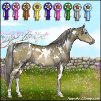 Horse Color:White Spotted Chocolate Palomino