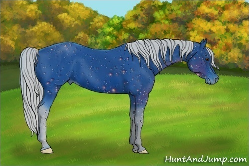 Horse Color:ERROR: UNKNOWN ANOMALY