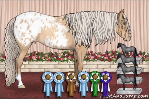 Horse Color:Silver Amber Champagne Roan Appaloosa 