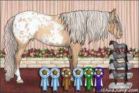 Horse Color:Silver Amber Champagne Roan Varnish 
