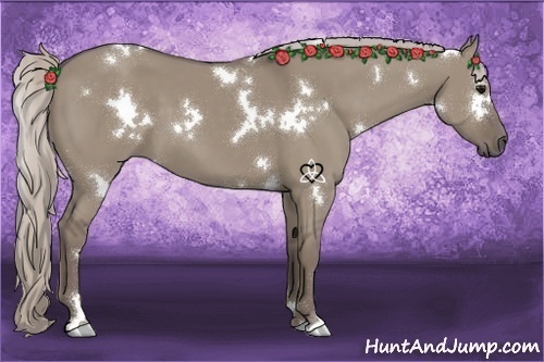 Horse Color:White Spotted Silver Grullo 