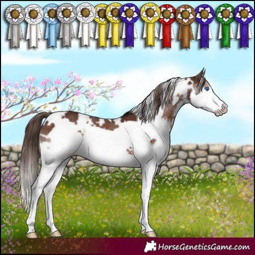 Horse Color:White Spotted Liver Chestnut Splash Frame