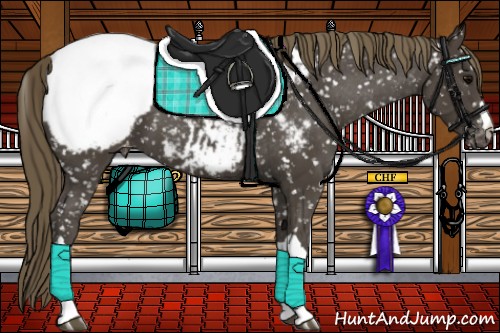 Horse Color:Smoky Black Appaloosa 