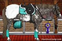 Horse Color:Smoky Black Appaloosa 