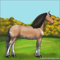Horse Color:White Spotted Bay Ice 