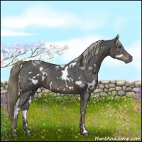Horse Color:White Spotted Liver Chestnut Ice 
