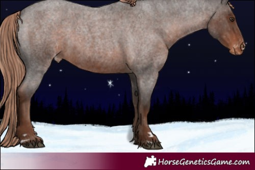 Horse Color:Liver Red Roan Appaloosa Rabicano 