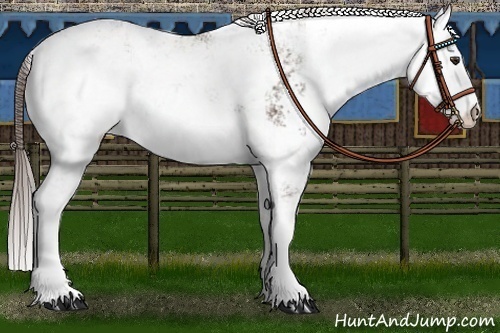 Horse Color:Liver Chestnut Sabino Appaloosa 