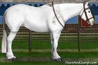 Horse Color:Liver Chestnut Sabino Varnish 