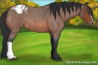 Horse Color:Bay Roan Varnish Rabicano 