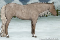 Horse Color:Silver Blue Roan 