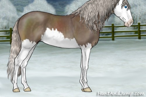 Horse Color:Silver Blue Roan Splash 