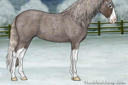 Horse Color:Silver Blue Roan Splash