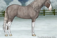 Horse Color:Silver Blue Roan Splash