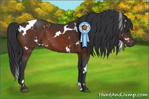 Horse Color:White Spotted Brown