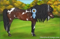 Horse Color:White Spotted Brown 