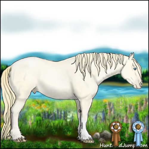 Horse Color:Buckskin Pearl 