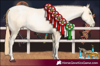 Horse Color:Buckskin Pearl