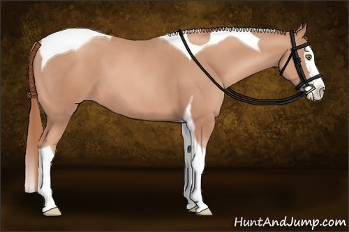 Horse Color:Gold Champagne Splash Tobiano 