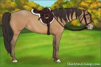 Horse Color:Amber Champagne