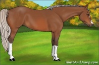 Horse Color:Silver Bay 