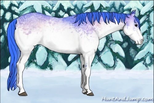 Horse Color:Watercolor White Spotted Bay Onyx 