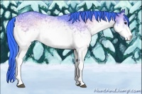 Horse Color:Watercolor White Spotted Bay Onyx