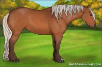 Horse Color:Silver Bay