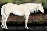 Horse Color:Cremello Frame 