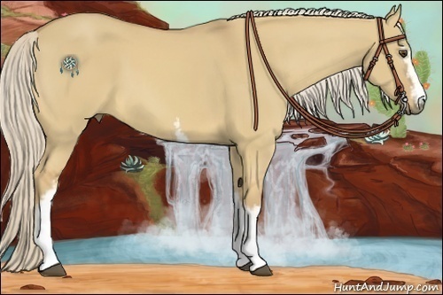 Horse Color:White Spotted Palomino Dun 