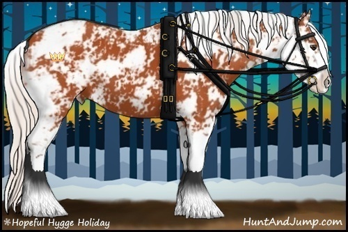 Horse Color:Silver Bay Sabino 