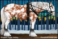 Horse Color:Silver Bay Sabino 