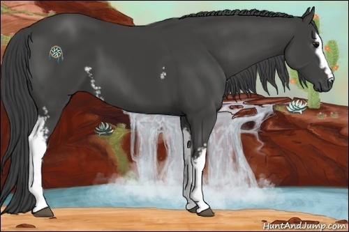 Horse Color:White Spotted Smoky Black 